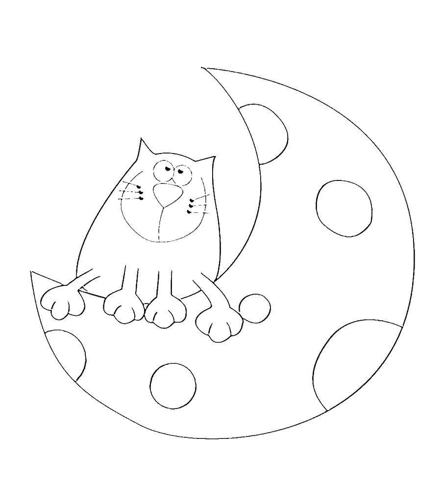 Coloring Cat. Category Cats and kittens. Tags:  animals, cat, cat.