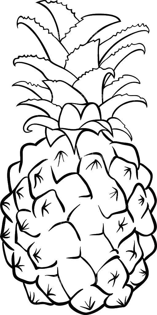 Coloring The pineapple. Category pineapple. Tags:  Fruit, pineapple.