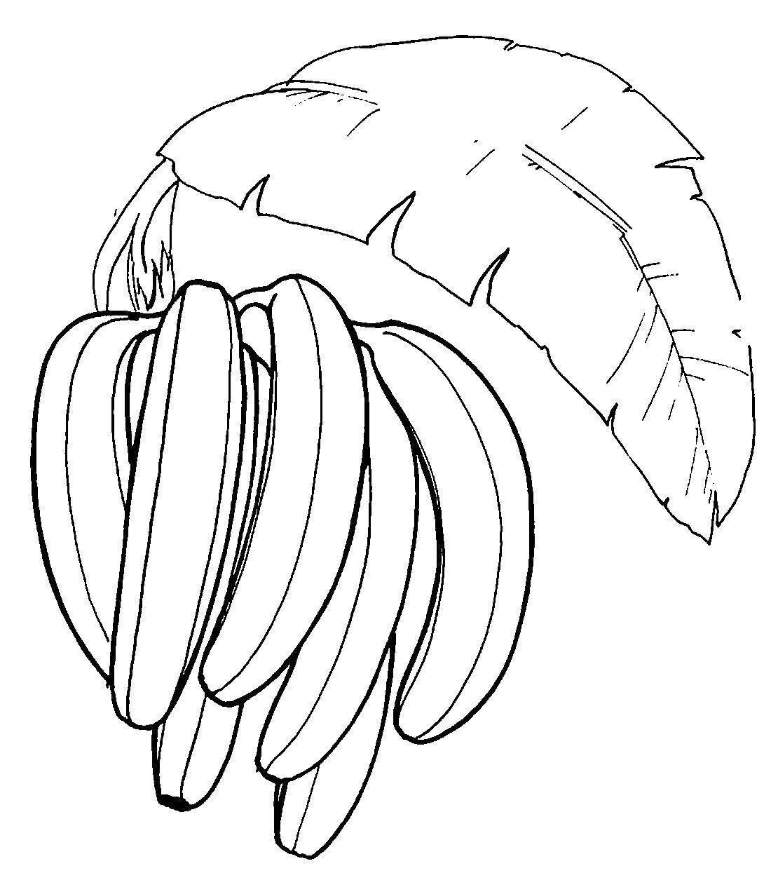 Название: Раскраска Банаы. Категория: банан. Теги: фрукты, бананы.
