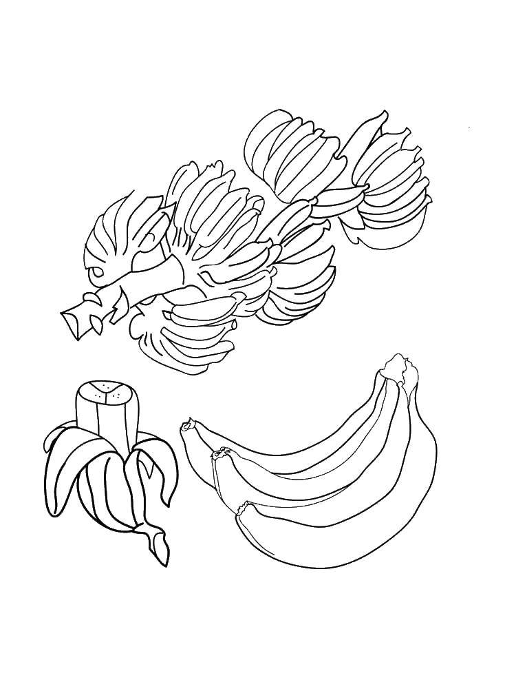 Название: Раскраска Связки бананов. Категория: банан. Теги: фрукты, банан.