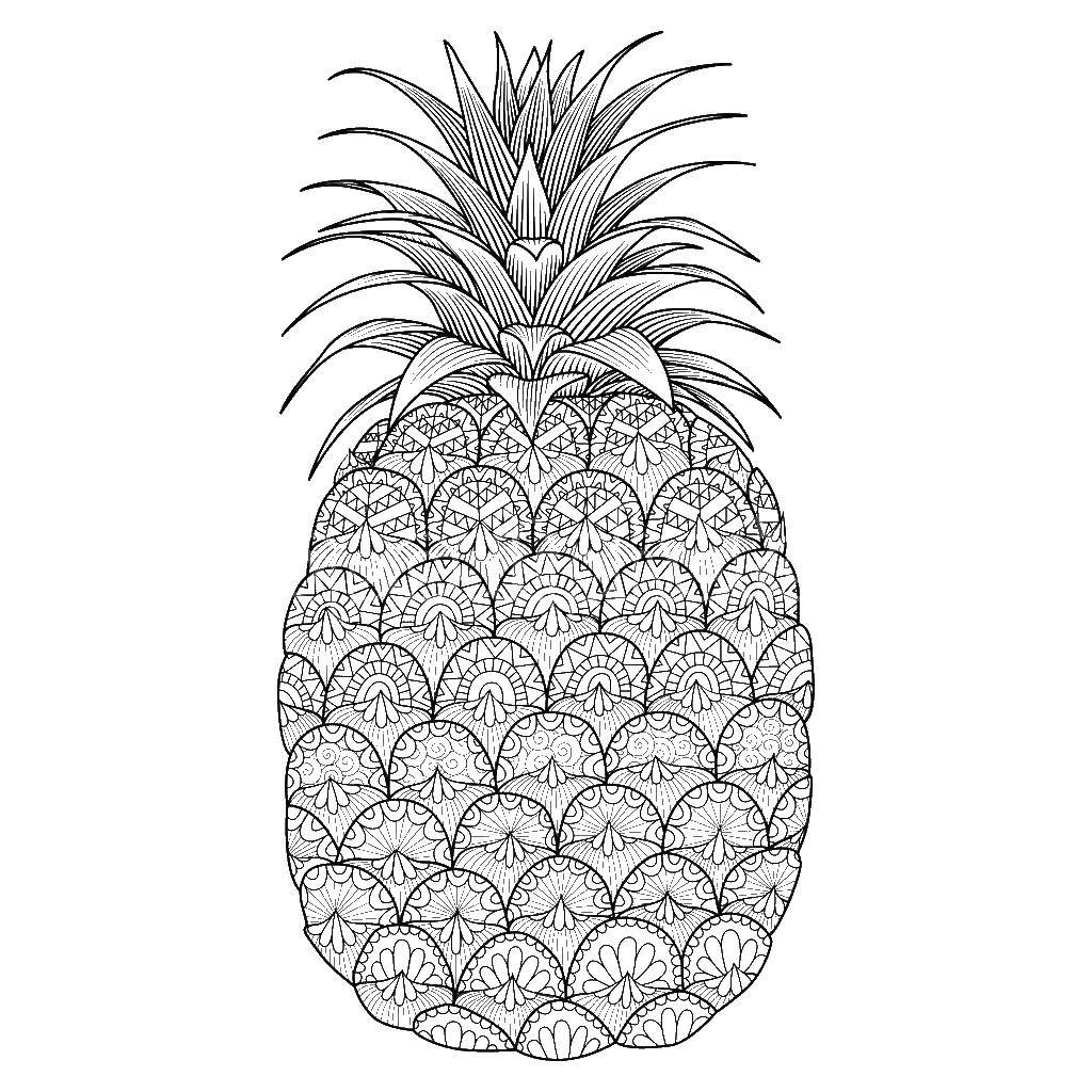 Название: Раскраска Узорный ананас. Категория: ананас. Теги: Фрукты, ананас.