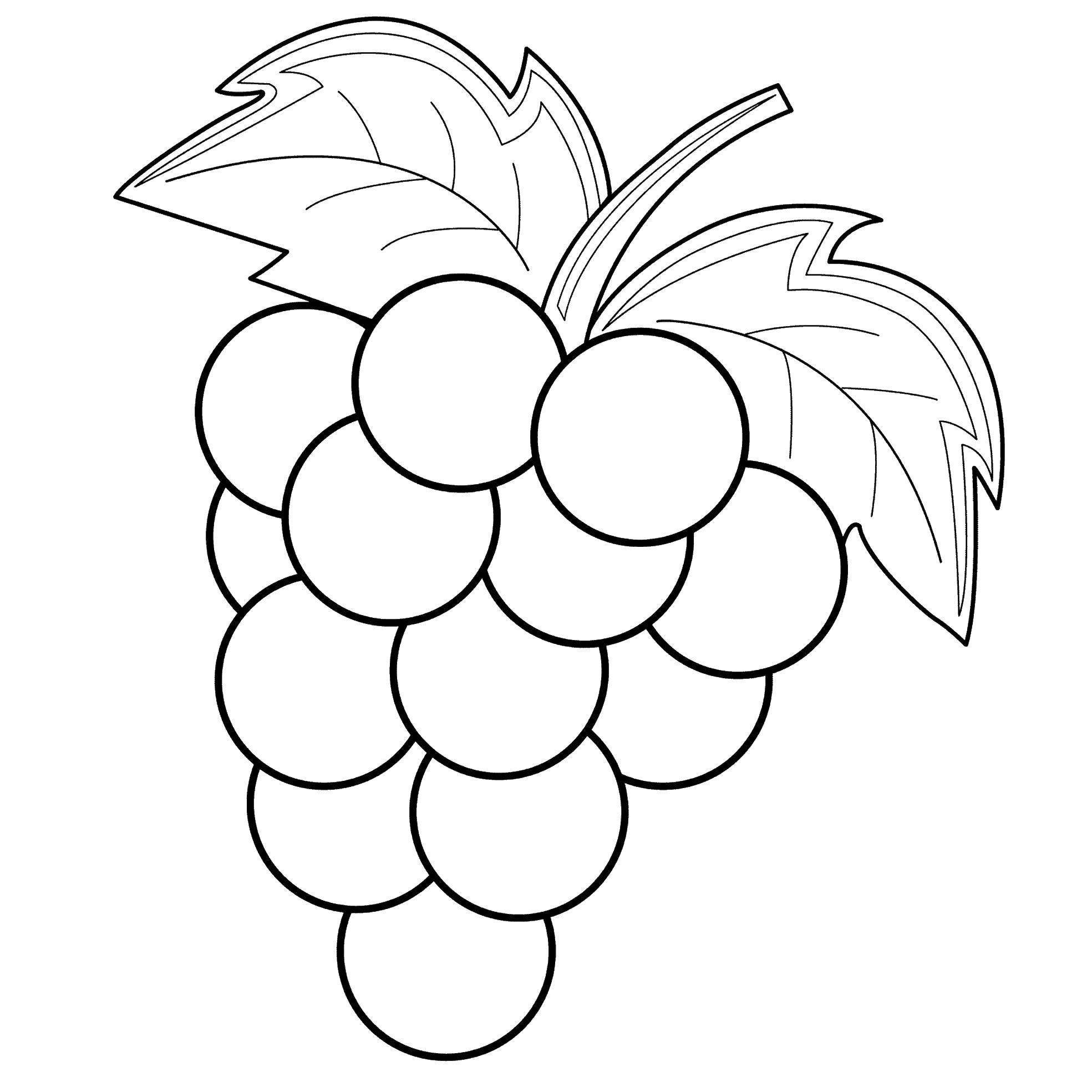 Название: Раскраска Виноград. Категория: ягоды. Теги: Ягоды.