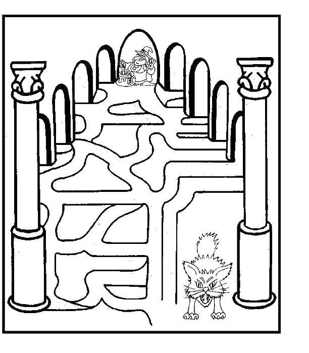 Coloring Bring the cat to the witch. Category mazes. Tags:  Maze, logic.
