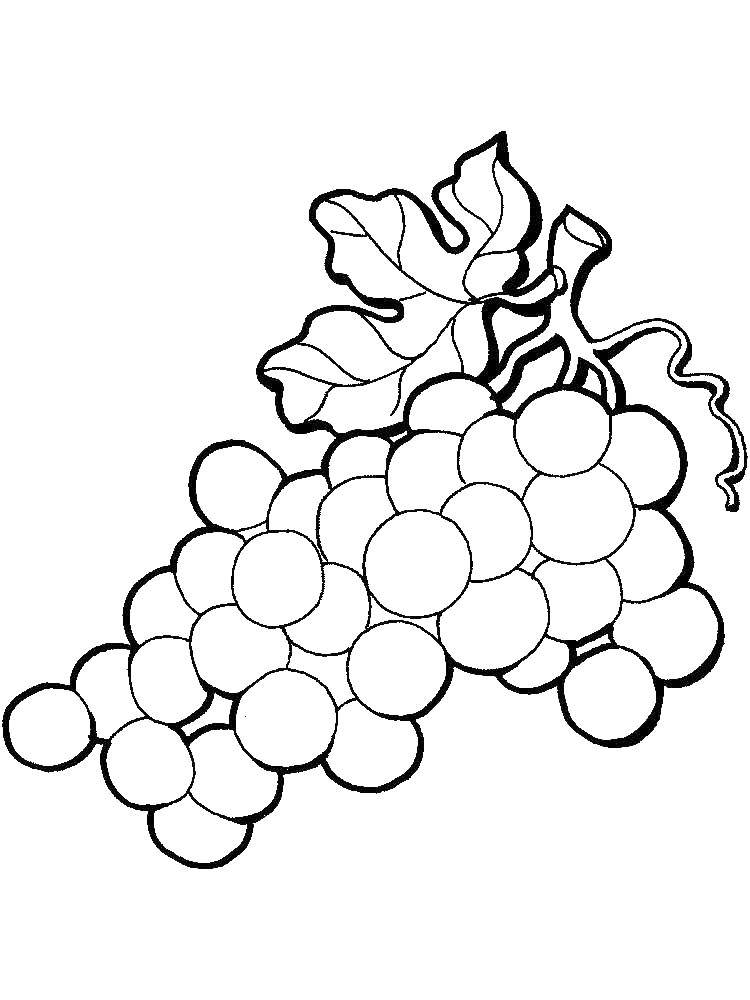 Coloring Bunch of grapes. Category grapes. Tags:  Berries.
