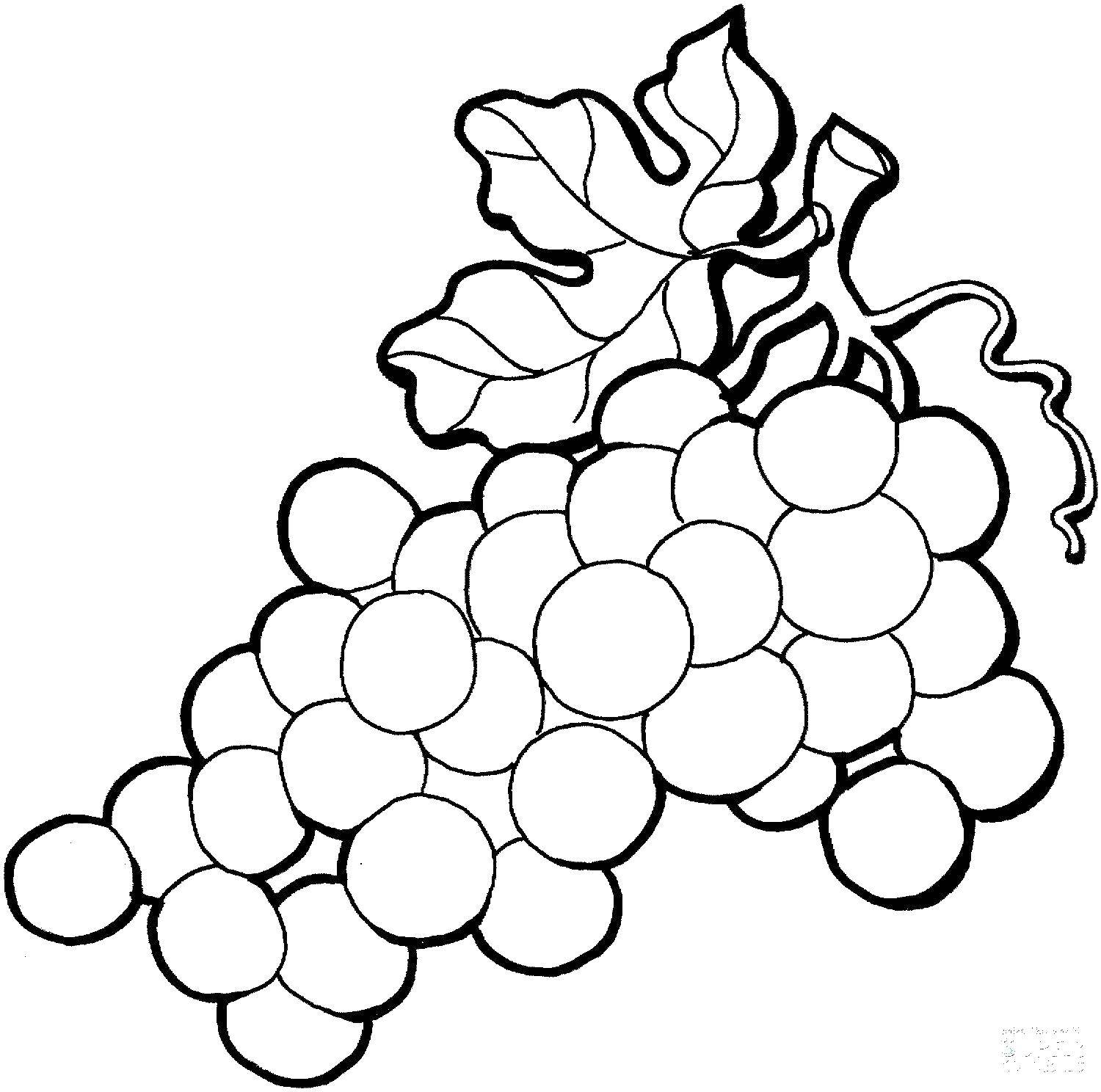 Название: Раскраска Гроздья винограда. Категория: виноград. Теги: Ягоды.
