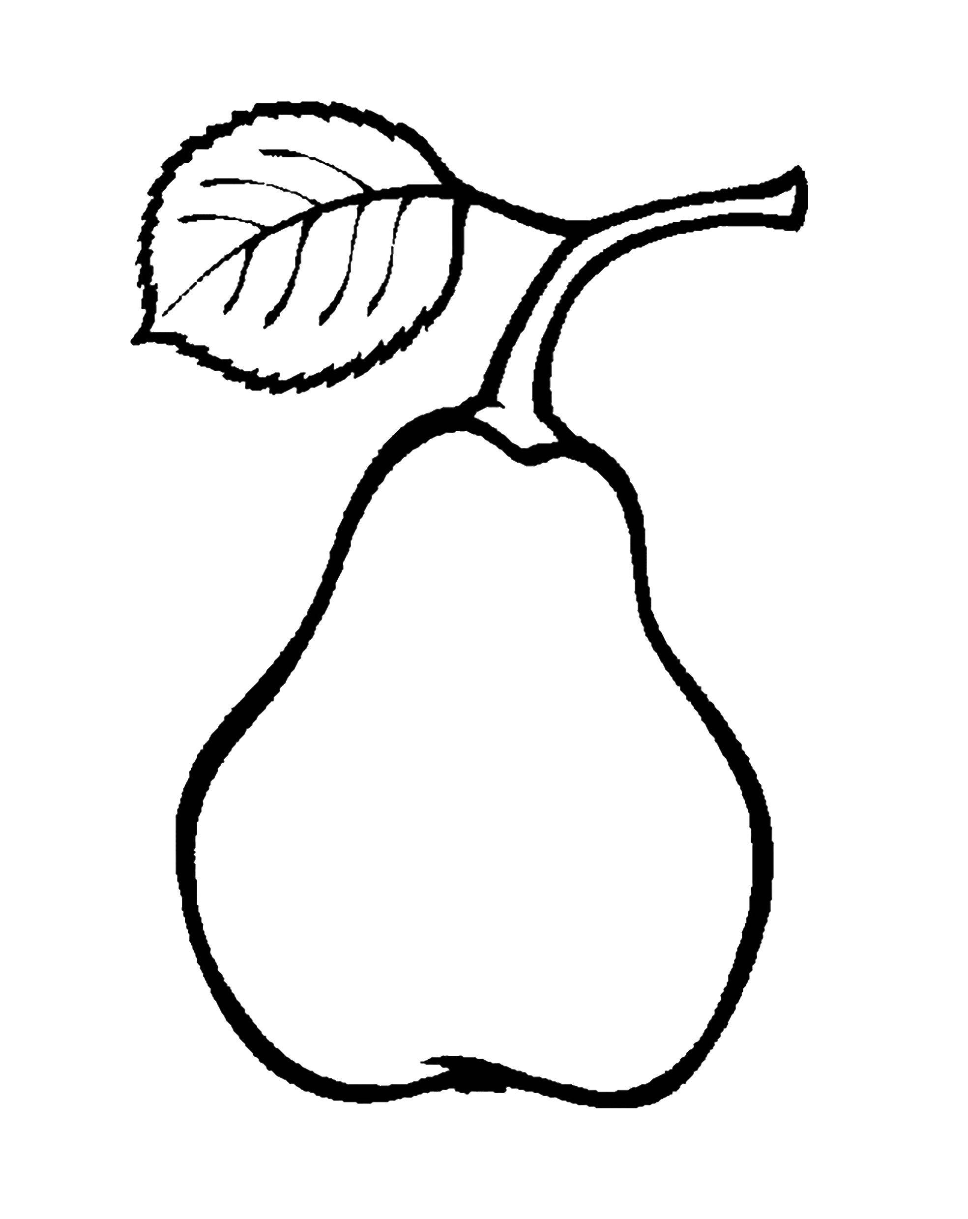 Coloring Pear. Category fruits. Tags:  fruit, pear.