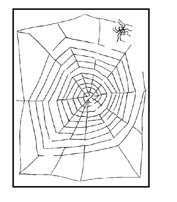 Coloring Spider web maze. Category mazes. Tags:  Maze, logic.