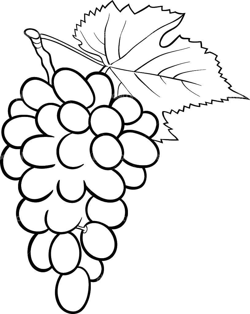 Название: Раскраска Виноград. Категория: виноград. Теги: Ягоды.