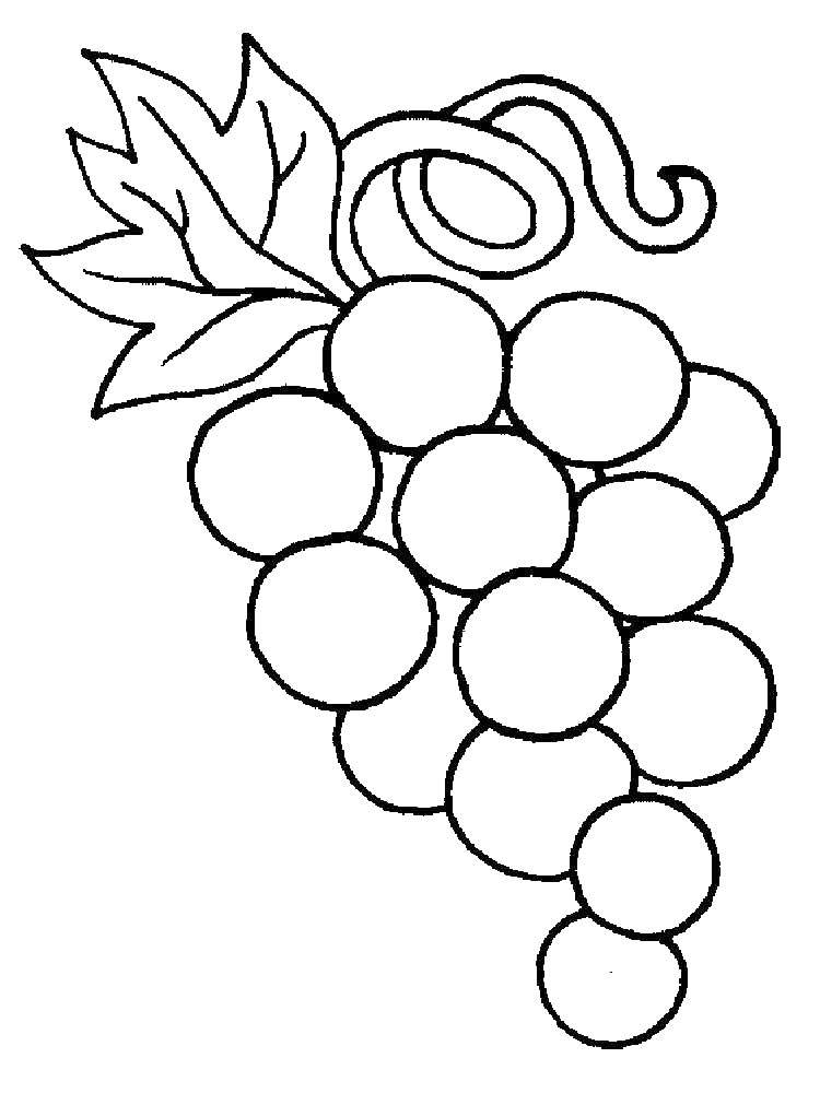 Раскраска виноград (16 разукрашек)