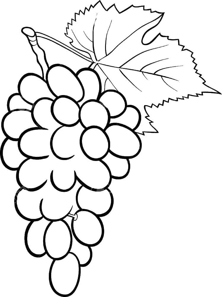 Название: Раскраска Ягоды винограда. Категория: виноград. Теги: Ягоды.