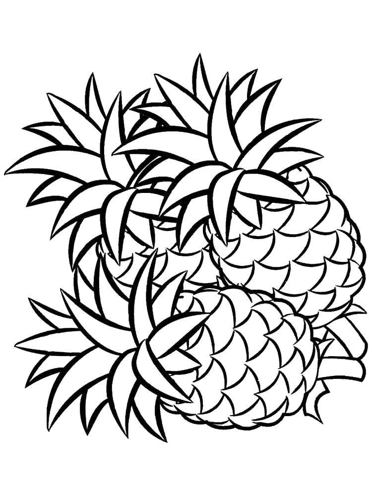 Coloring Pineapples. Category pineapple. Tags:  pineapple.