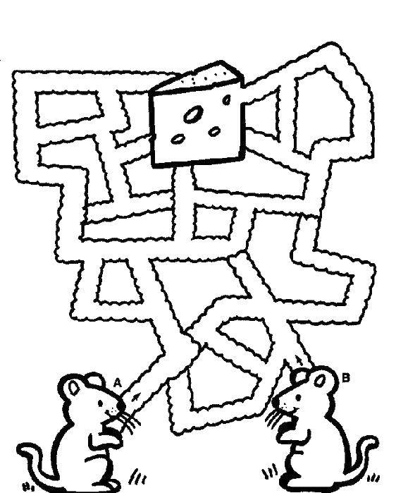 Coloring Bring mice to the cheese. Category mazes. Tags:  Maze, logic.