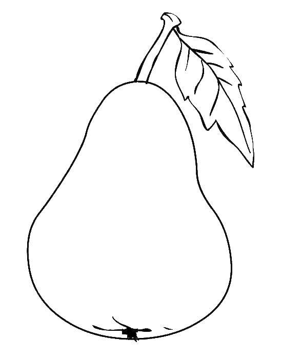 Coloring Pear. Category pear. Tags:  fruits.
