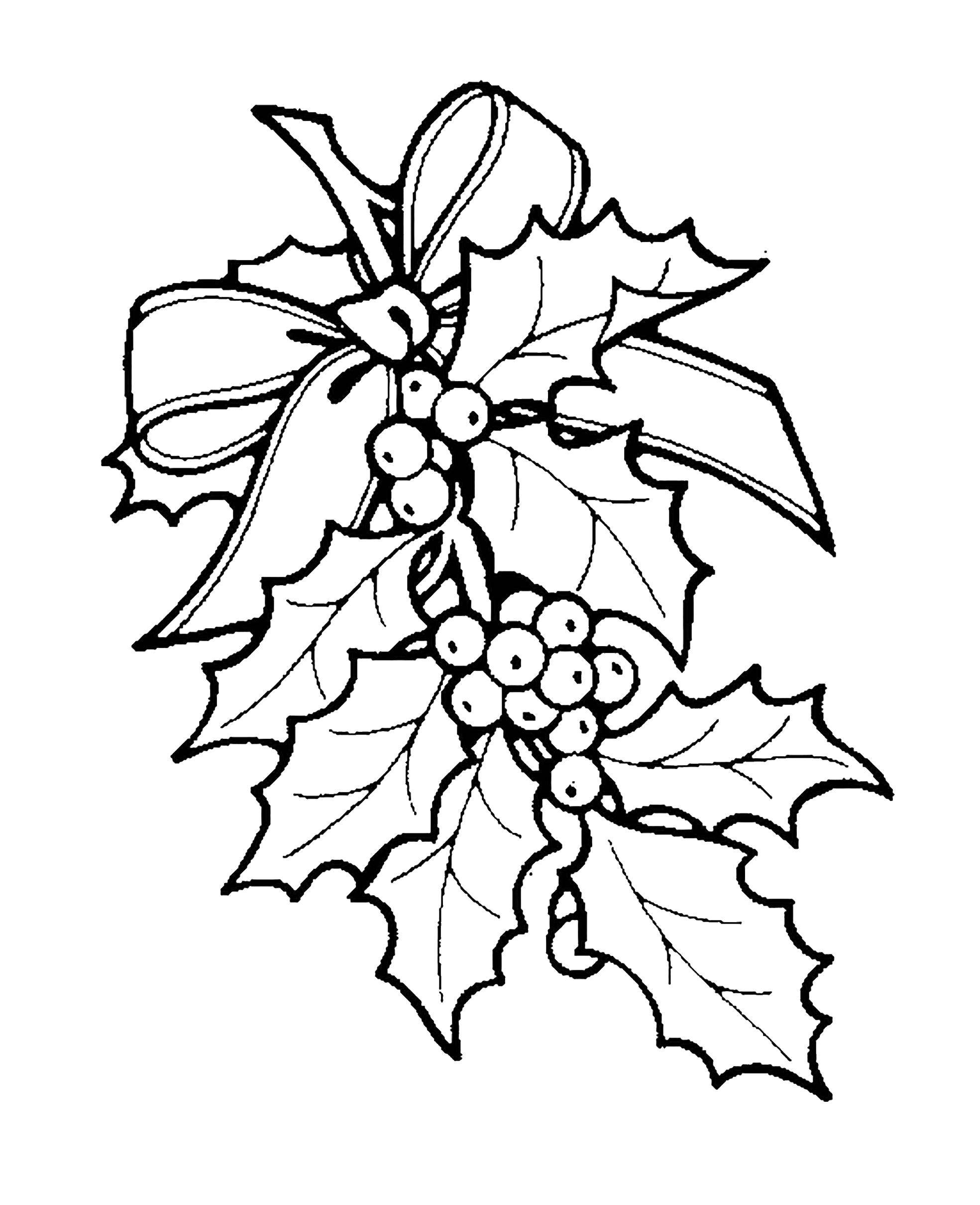 Coloring Mistletoe Christmas. Category new year. Tags:  mistletoe, new year.