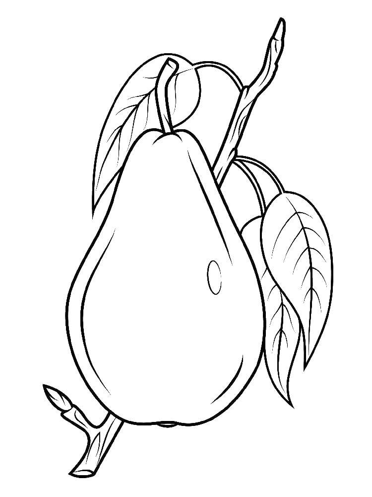 Coloring Delicious pear. Category pear. Tags:  fruits.