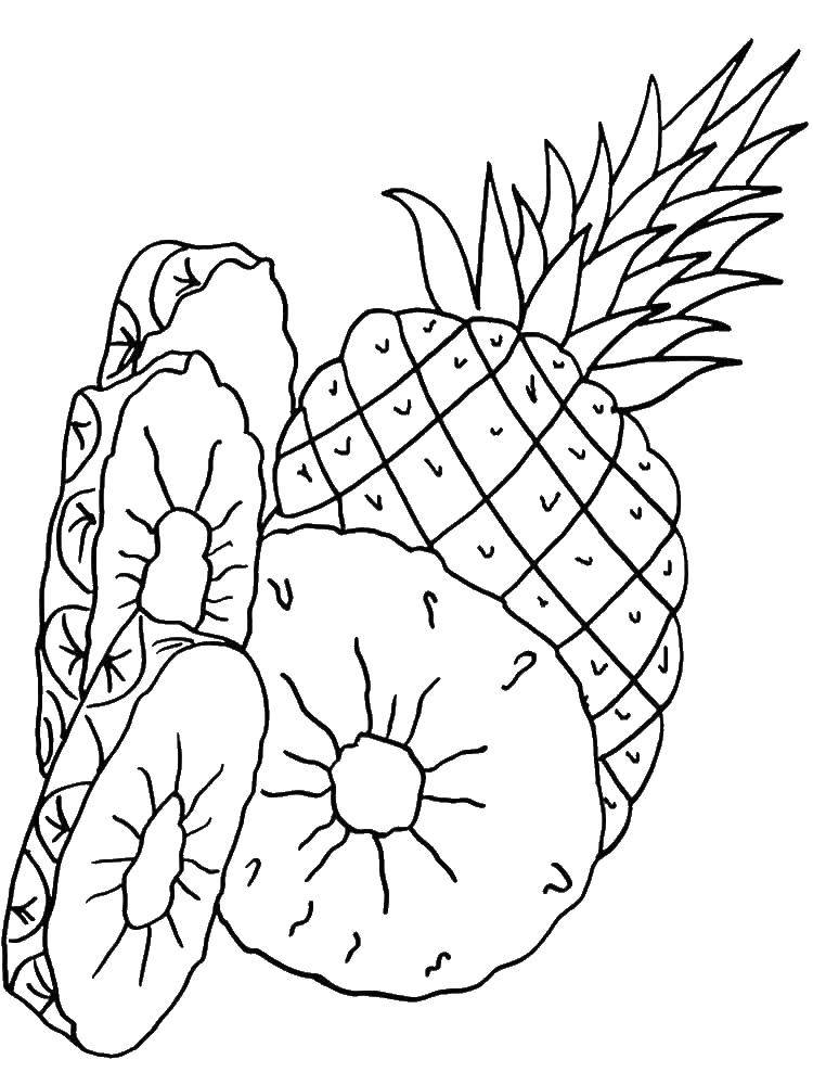 Coloring Pineapple. Category pineapple. Tags:  pineapple.