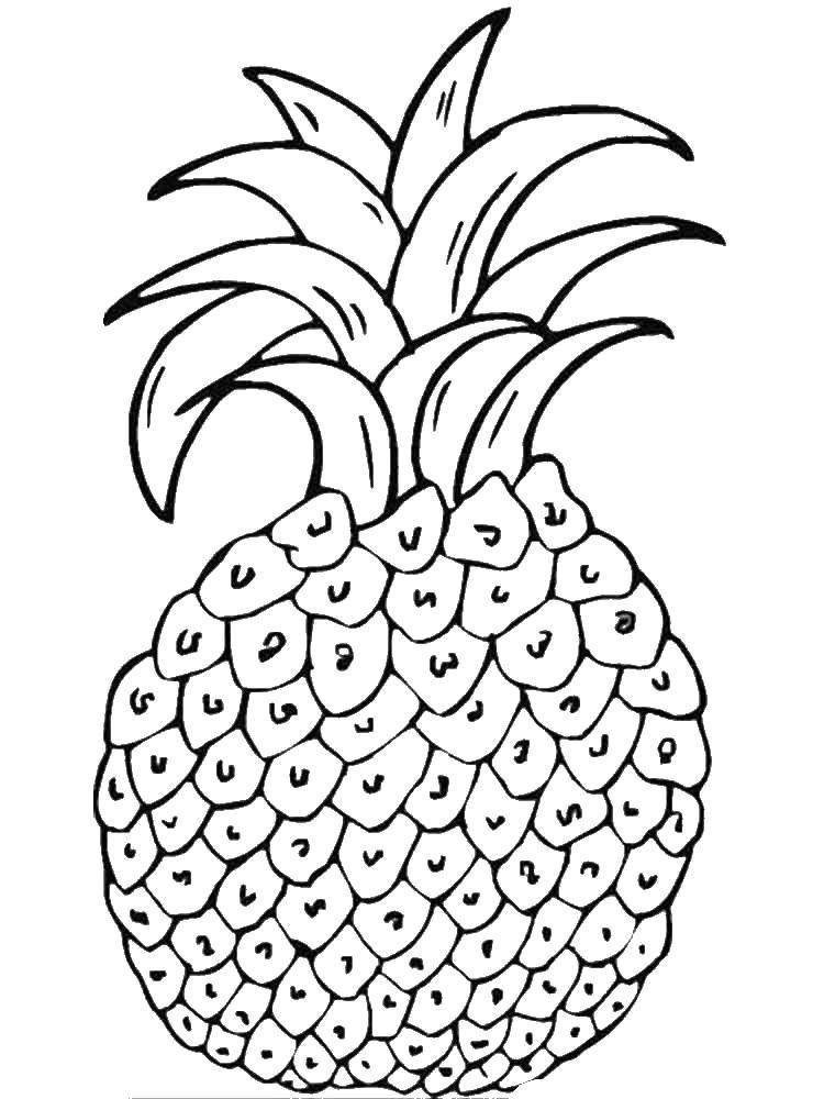 Coloring Pineapple. Category pineapple. Tags:  pineapple.