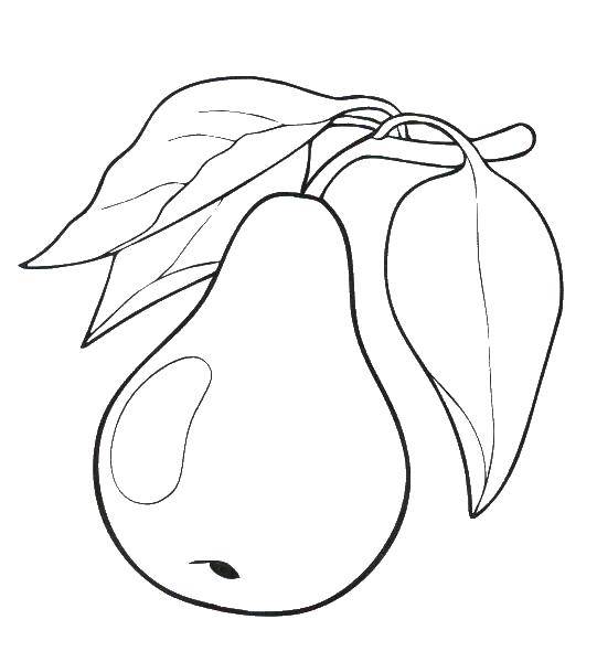 Coloring Pear and leaves. Category pear. Tags:  pear, leaves.