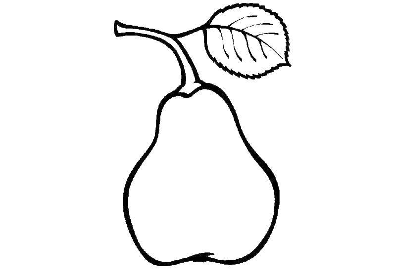 Coloring Pear. Category pear. Tags:  pear, fruit.