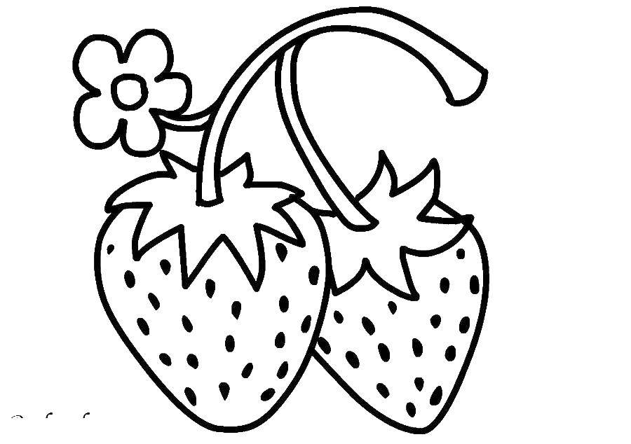 Название: Раскраска Клубника. Категория: ягоды. Теги: клубника, ягоды.