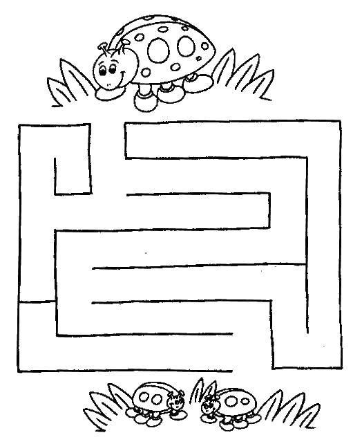 Coloring Maze ladybug. Category mazes. Tags:  the labyrinth, ladybug.