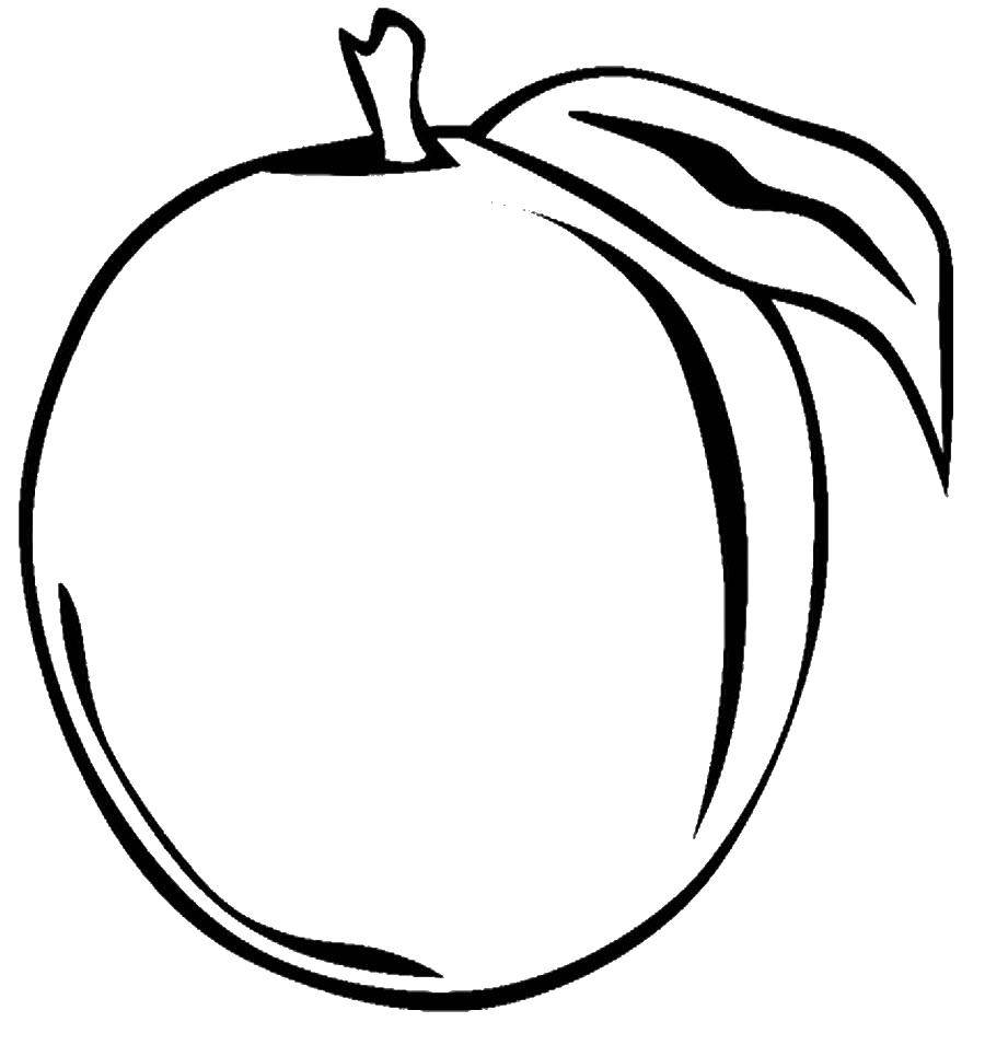 Coloring Peach. Category fruits. Tags:  peach.