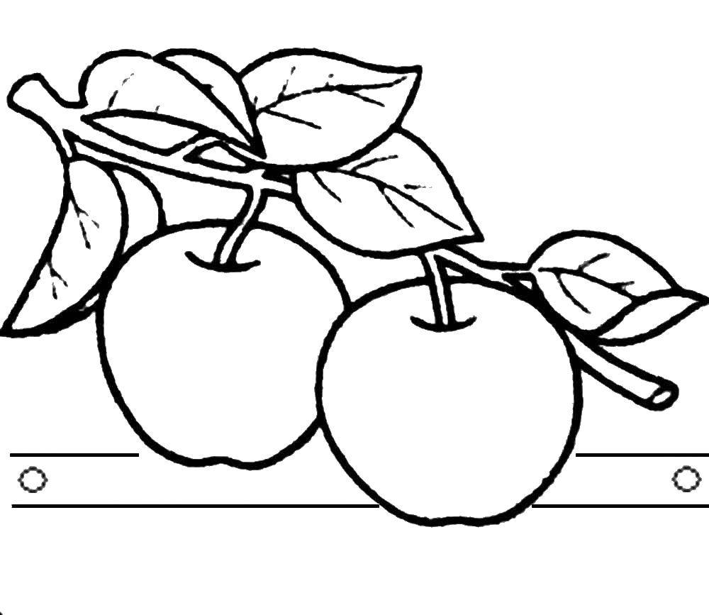 Название: Раскраска Яблоки на ветке. Категория: яблоко. Теги: яблоко.