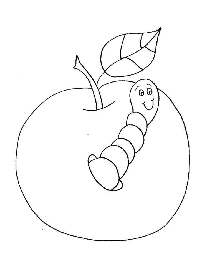Раскраски Раскраска Яблоко червивое яблоко, Раскраски детские.