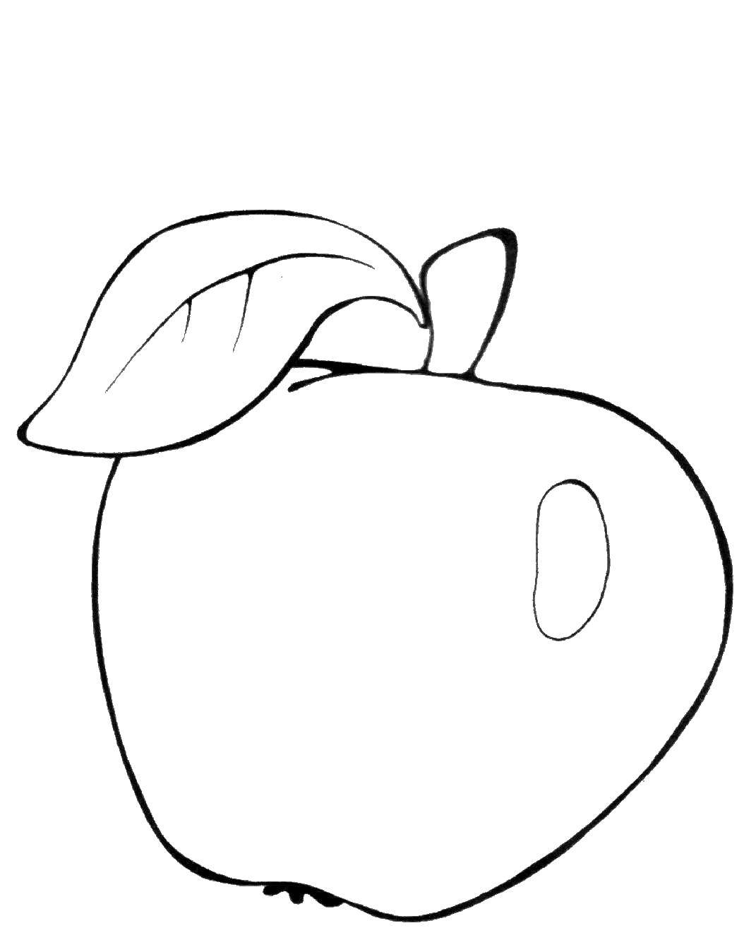 Coloring Apple. Category Apple. Tags:  Apple, fruit.
