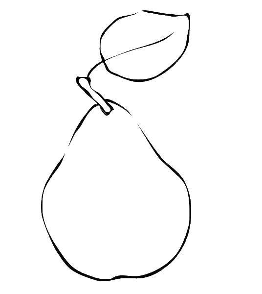 Coloring Pear. Category pear. Tags:  pear, fruit.