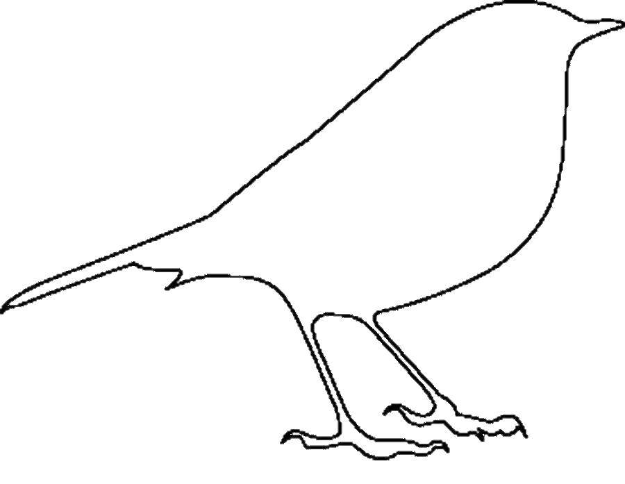 Название: Раскраска Контур вороны. Категория: Контуры для вырезания птиц. Теги: птицы, ворона.