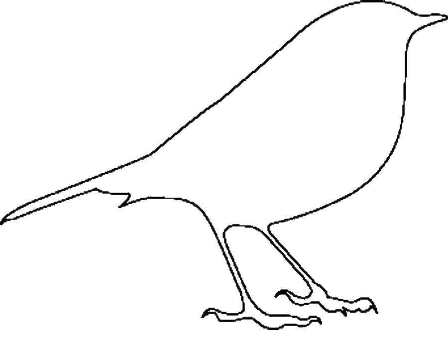 Название: Раскраска Контур вороны. Категория: Контуры для вырезания птиц. Теги: контур, птица.