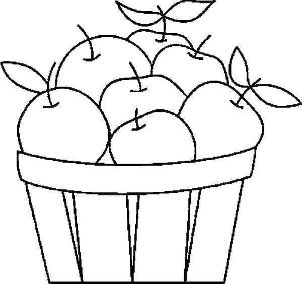 Coloring Basket with apples. Category Apple. Tags:  Apple, fruit.