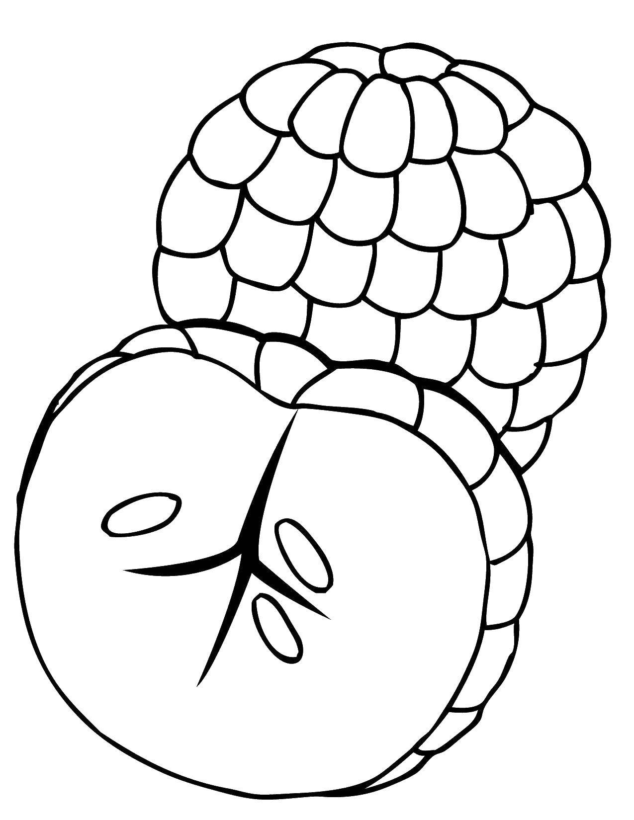 Coloring Raspberry. Category fruits. Tags:  raspberry , fruit.