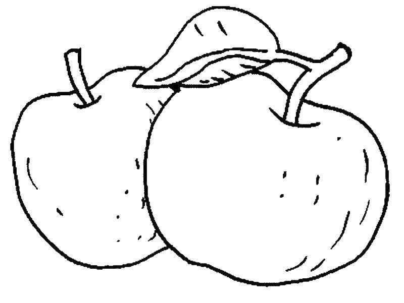 Coloring Apples. Category Apple. Tags:  Apple, fruit.