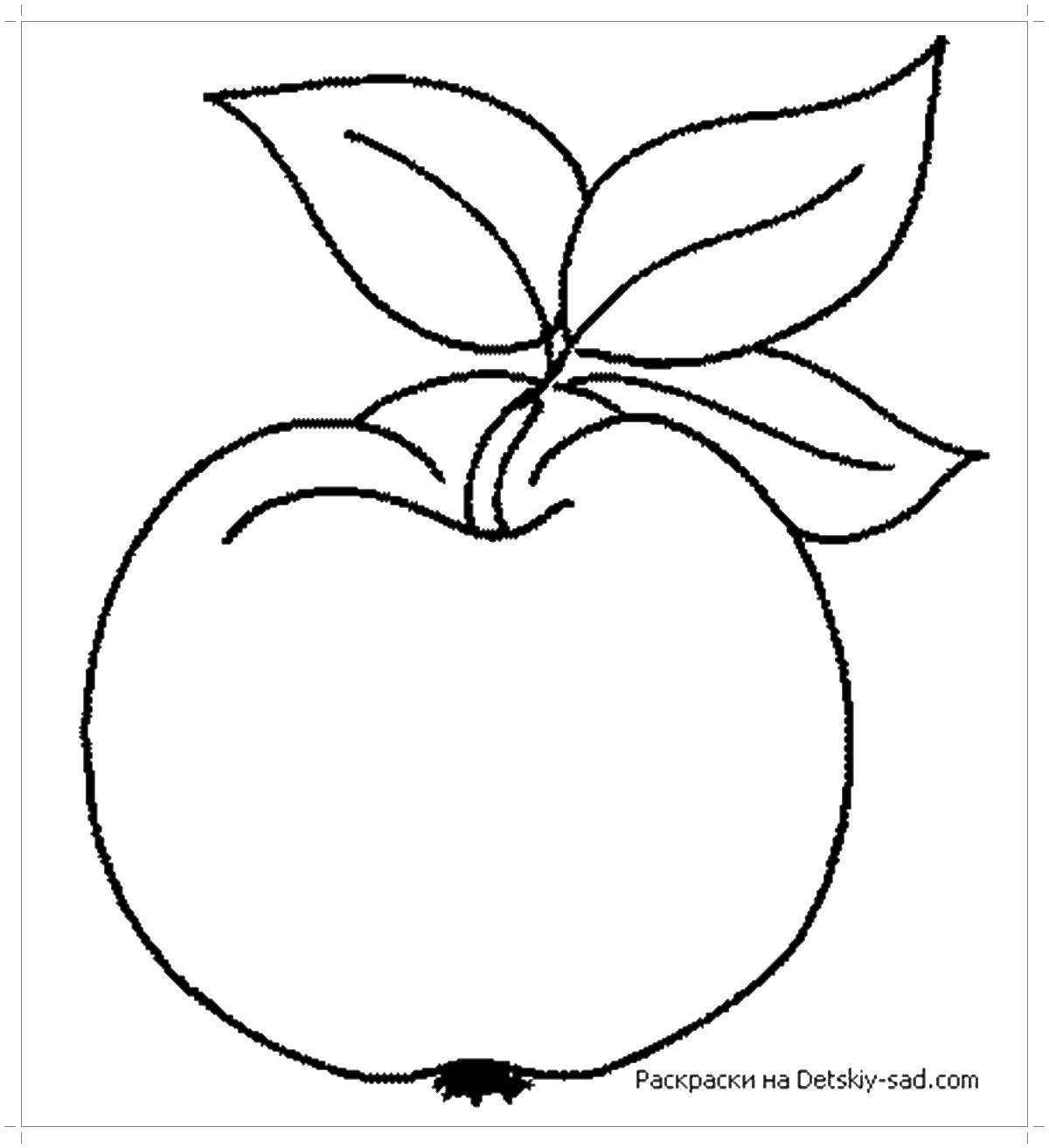 Название: Раскраска Яблоко. Категория: яблоко. Теги: яблоко.