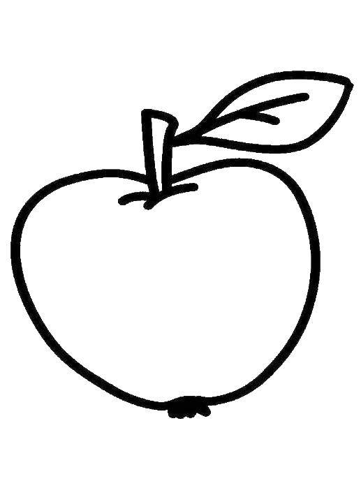 Coloring Apple. Category Apple. Tags:  fruit, Apple.