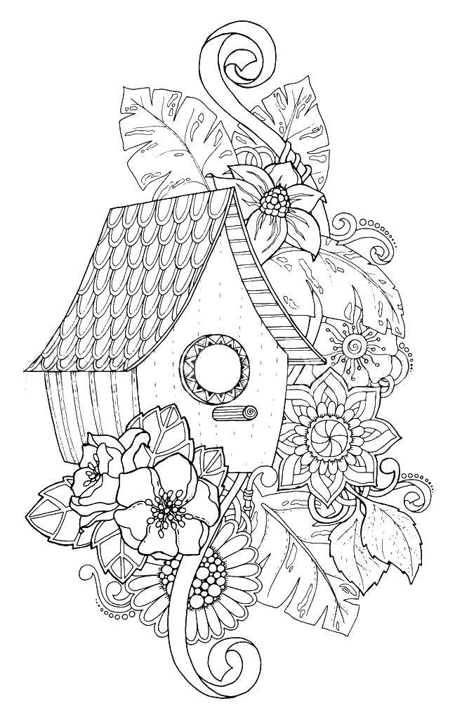 birdhouse coloring pages print