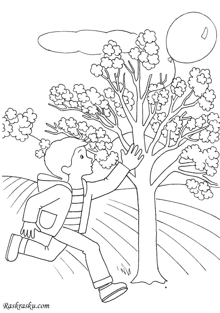 Coloring The boy and the ball. Category coloring for little ones. Tags:  boy, ball, tree.
