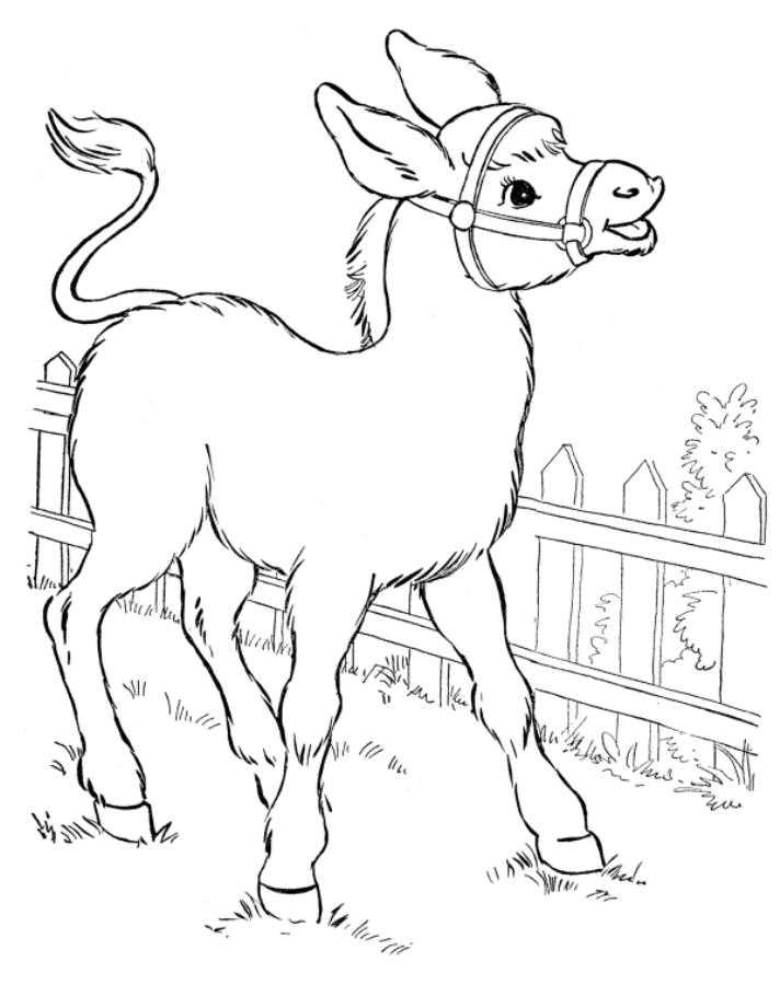 Coloring Donkey on the farm. Category Pets allowed. Tags:  donkey, farm.