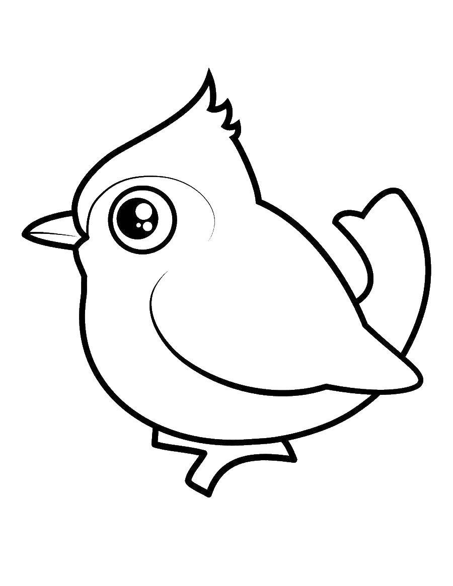 Coloring Bird. Category birds. Tags:  birds.