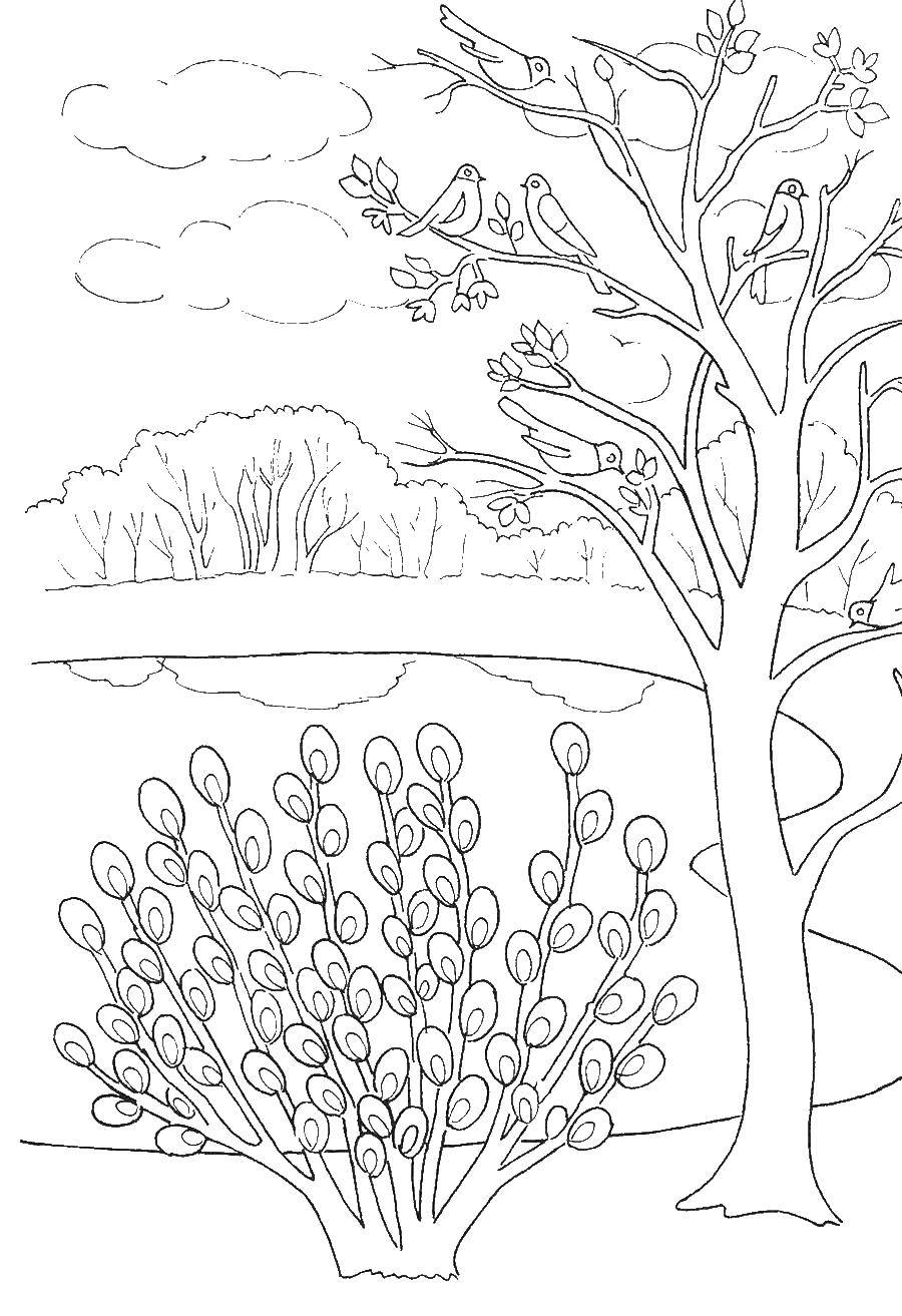 Дерево с птицами - рисунок в векторе