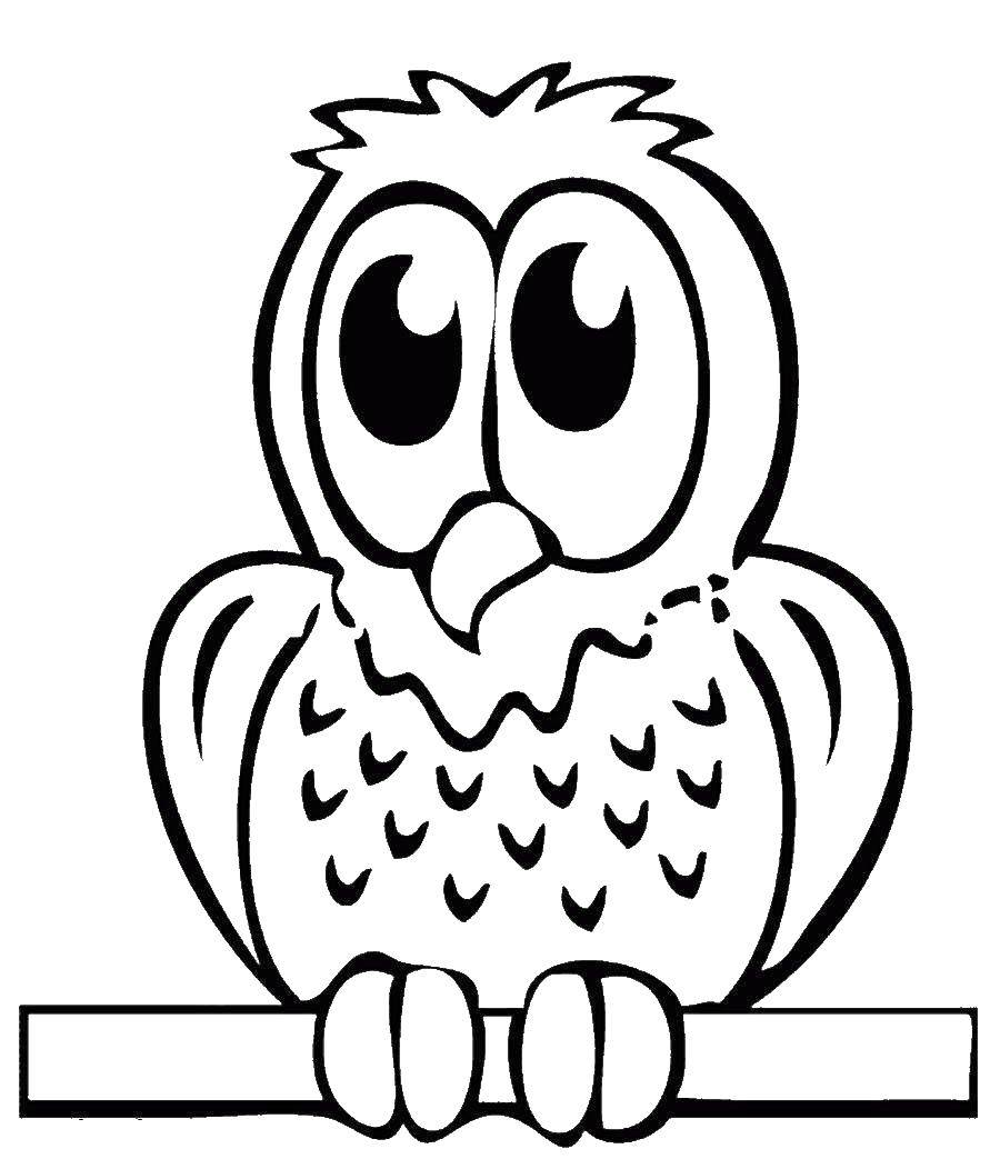 Coloring Owl on the branch. Category birds. Tags:  owl, bird.