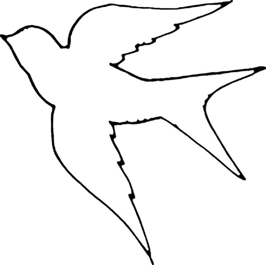 Название: Раскраска Контур птицы. Категория: Контуры для вырезания птиц. Теги: контур, птица, ласточка.
