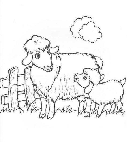 Название: Раскраска Овца с ягненком на ферме. Категория: домашние животные. Теги: овца, ягненок, ферма.