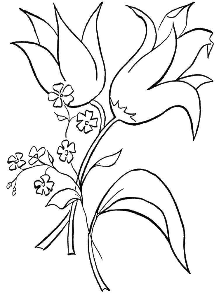 Coloring Irises. Category flowers. Tags:  Irises.
