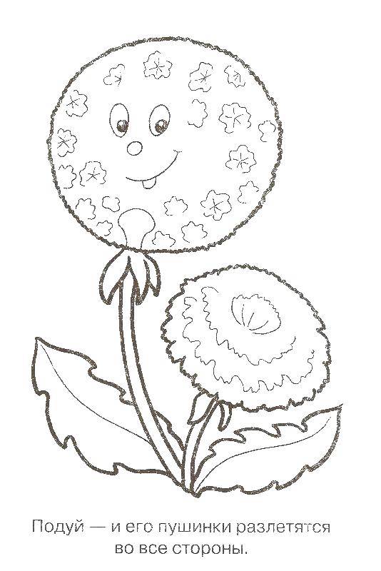 Coloring Dancik. Category flowers. Tags:  dandelion, flowers.