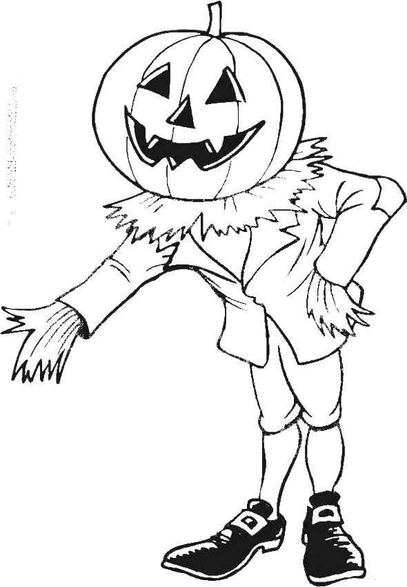Coloring Scarecrow with pumpkin head. Category Scarecrow. Tags:  Scarecrow, birds.
