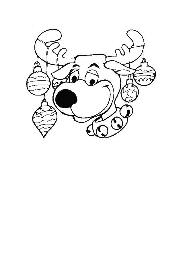 Название: Раскраска Северный олень. Категория: новый год. Теги: олень, животные.