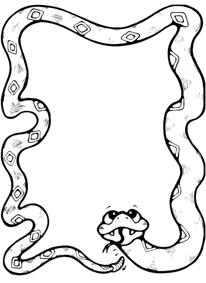 Coloring Long Cobra. Category the snake. Tags:  the Cobra .